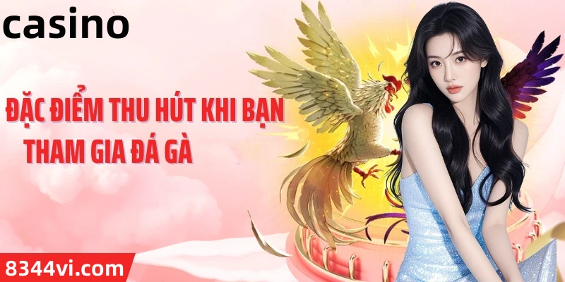 Hình ảnh quảng cáo của k8bet hiển thị nền tảng và các lợi ích
